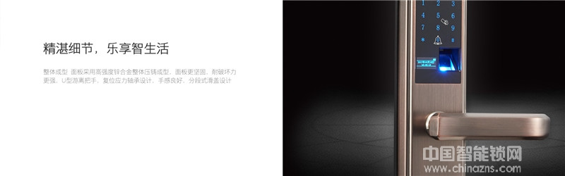 朗凯斯高性价比智能指纹锁 办公家用智能锁